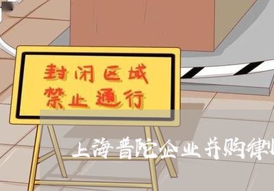 上海普陀企业并购律师事务所/2023032645140 上海普陀企业并购律师事务所/2023032645140