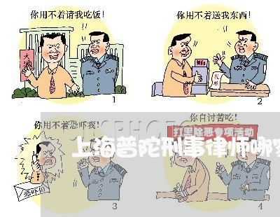 上海普陀刑事律师哪家比较好/2023032682606