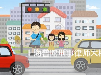 上海普陀刑事律师大概多少钱/2023032600606