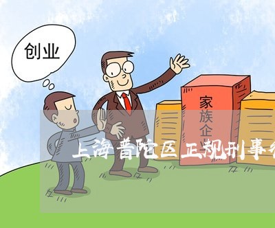 上海普陀区正规刑事律师案例/2023032663783