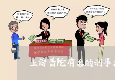 上海普陀有名的刑事大案律师/2023032628048 上海普陀有名的刑事大案律师/2023032628048