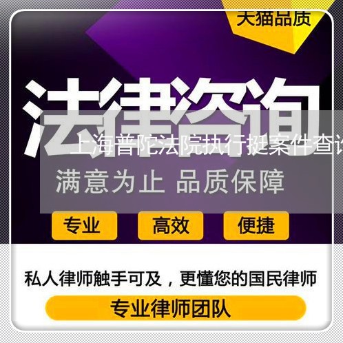 上海普陀法院执行挺案件查询 上海普陀法院执行挺案件查询
