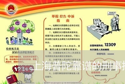 上海普陀靠谱的刑事拘留律师/2023032629194