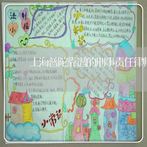 上海普陀靠谱的刑事责任律师/2023032628167