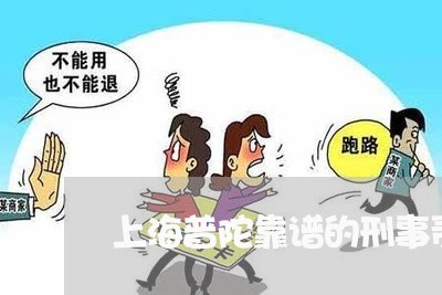 上海普陀靠谱的刑事责任律师/2023032679694