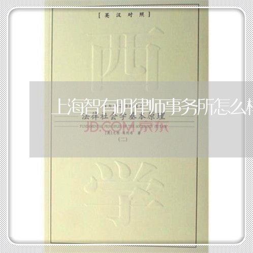 上海智有明律师事务所怎么样/2023032631803