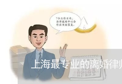 上海最专业的离婚律师事务所