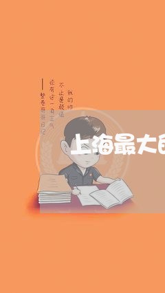 上海最大的律师事务所是哪家/2023032691513