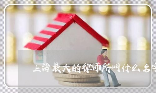 上海最大的律师所叫什么名字/2023032638272