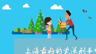 上海最好的资深刑事辩护律师/2023032604935