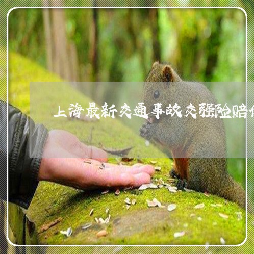 上海最新交通事故交强险赔偿/2023032684714 上海最新交通事故交强险赔偿/2023032684714