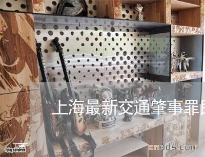 上海最新交通肇事罪民事赔偿/2023032661693