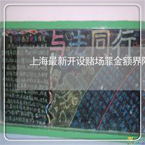 上海最新开设赌场罪金额界限/2023032662391