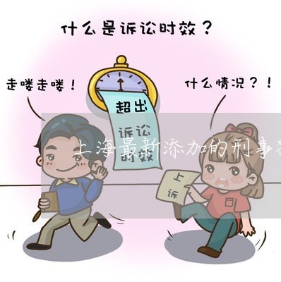 上海最新添加的刑事犯罪律师/2023032640825