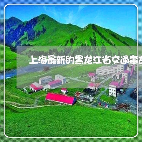 上海最新的黑龙江省交通事故/2023032685048 上海最新的黑龙江省交通事故/2023032685048