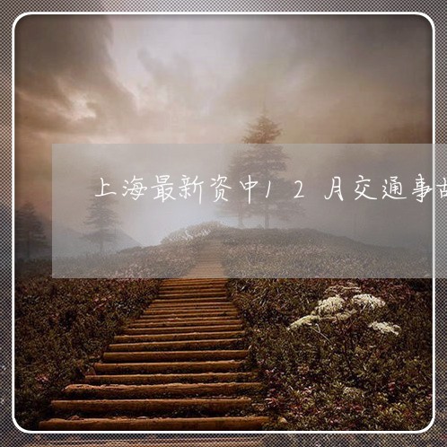 上海最新资中12月交通事故/2023032617070