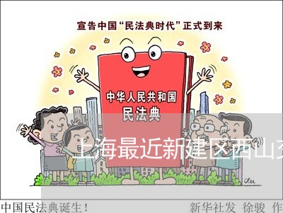 上海最近新建区西山交通事故/2023032641494