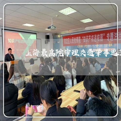 上海最高院审理交通肇事逃逸/2023032624157