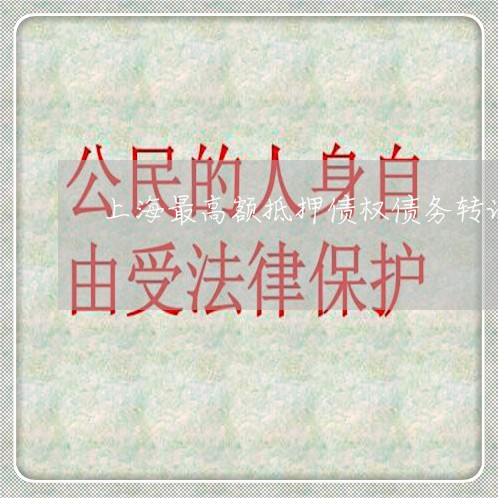 上海最高额抵押债权债务转让/2023032616148 上海最高额抵押债权债务转让/2023032616148