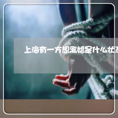 上海有一方想离婚是什么状态/2023032648360