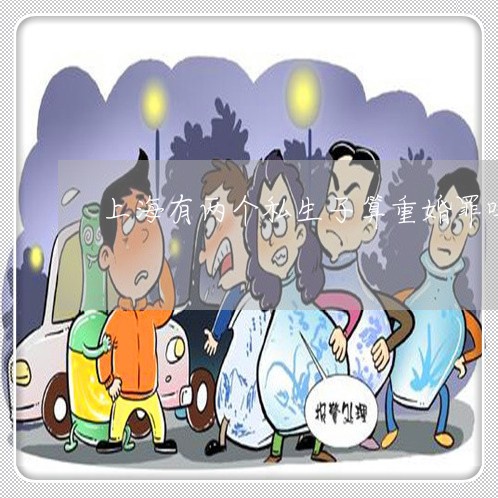 上海有两个私生子算重婚罪吗/2023032632846 上海有两个私生子算重婚罪吗/2023032632846