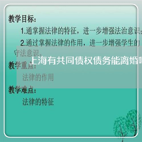 上海有共同债权债务能离婚吗/2023032666949 上海有共同债权债务能离婚吗/2023032666949