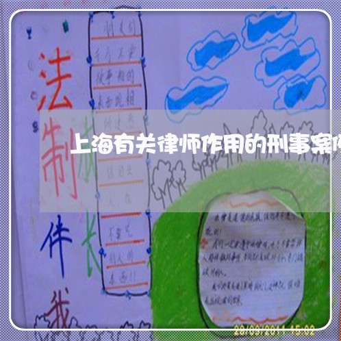 上海有关律师作用的刑事案例/2023032682582 上海有关律师作用的刑事案例/2023032682582