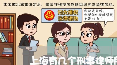 上海有几个刑事律师所排名/2023060950582