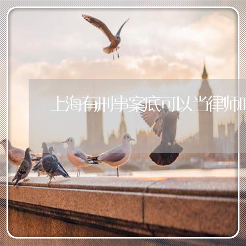 上海有刑事案底可以当律师吗/2023032608159