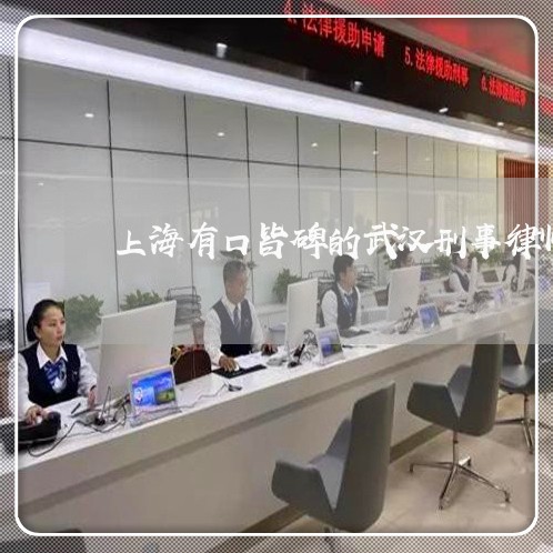 上海有口皆碑的武汉刑事律师/2023032616058