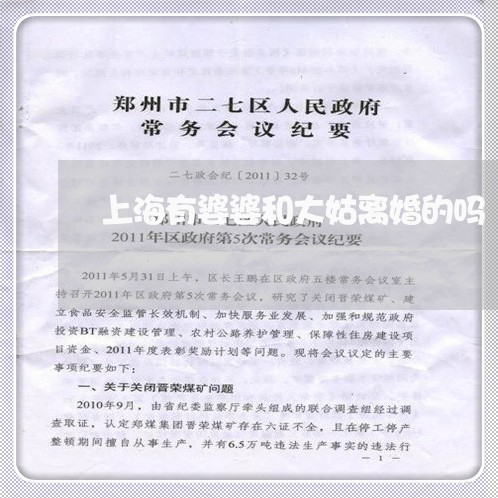 上海有婆婆和大姑离婚的吗/2023032480793
