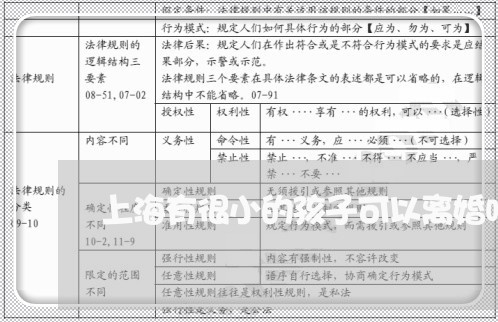 上海有很小的孩子可以离婚吗/2023032648481