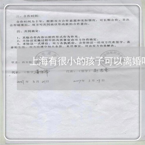 上海有很小的孩子可以离婚吗/2023032651482