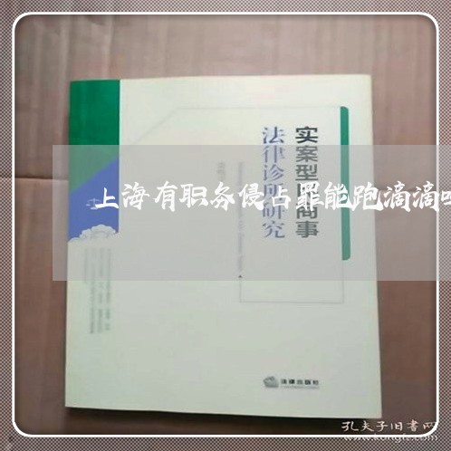 上海有职务侵占罪能跑滴滴吗/2023032695049