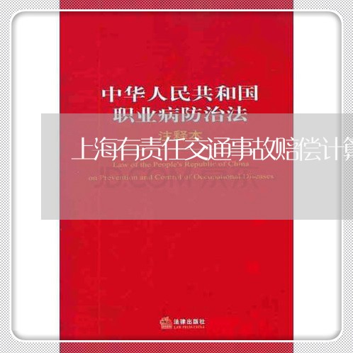 上海有责任交通事故赔偿计算/2023032687393
