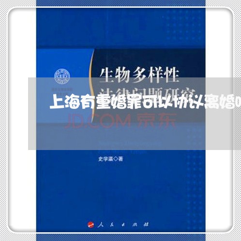 上海有重婚罪可以协议离婚吗/2023032658402 上海有重婚罪可以协议离婚吗/2023032658402