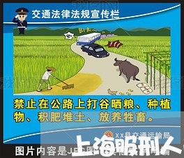 上海服刑人员协议离婚如何办/2023032615927