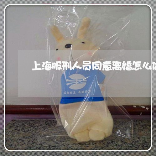 上海服刑人员同意离婚怎么做/2023032619170 上海服刑人员同意离婚怎么做/2023032619170