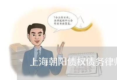 上海朝阳债权债务律师事务所/2023032606137