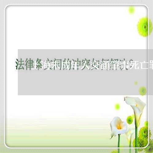 上海未成年人交通肇事死亡罪/2023032649370