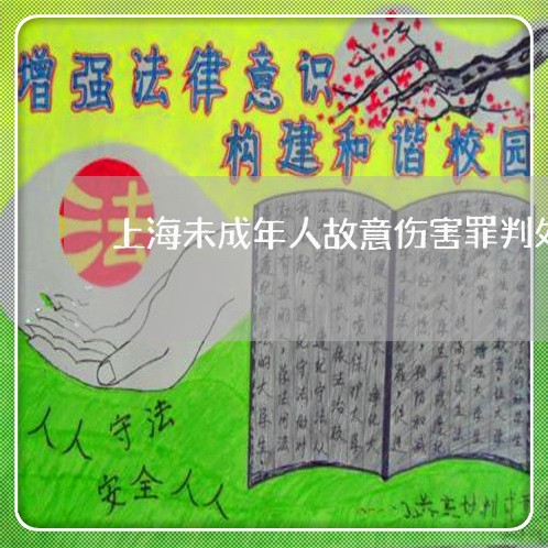 上海未成年人故意伤害罪判处/2023032649069