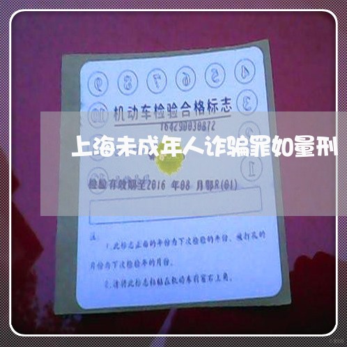 上海未成年人诈骗罪如量刑/2023032640351 上海未成年人诈骗罪如量刑/2023032640351