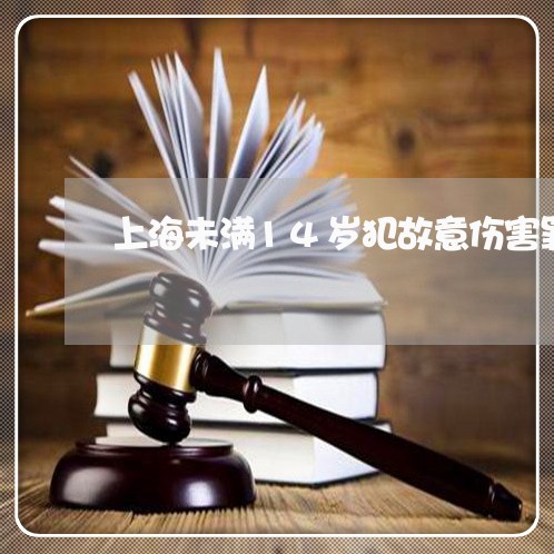 上海未满14岁犯故意伤害罪/2023032570482