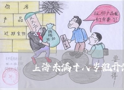 上海未满十八岁犯开设赌场罪/2023032527259