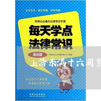 上海未满十六周岁寻衅滋事罪/2023032572604