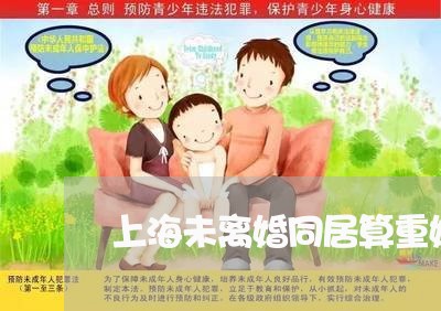 上海未离婚同居算重婚罪吗/2023032253269