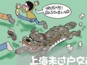 上海未过户交通事故责任划分/2023032552159