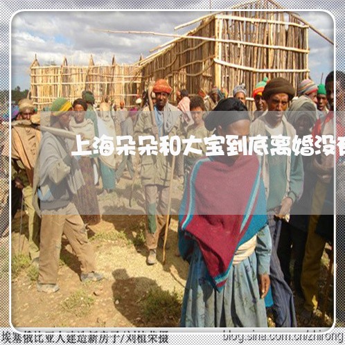 上海朵朵和大宝到底离婚没有/2023032692946