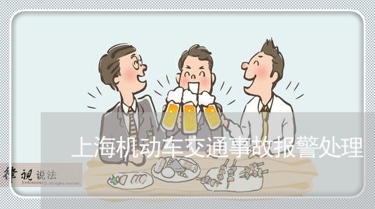 上海机动车交通事故报警处理/2023032521504