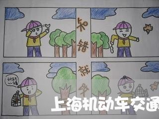 上海机动车交通事故雇主赔偿/2023032597048